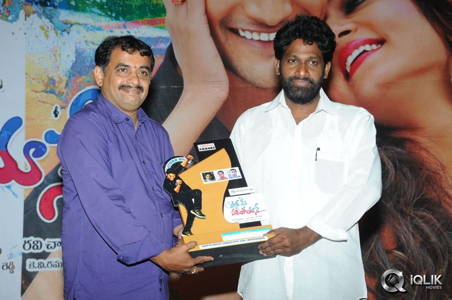 Pyaar-Mein-Padipoyane-Movie-Platinum-Disc-Function